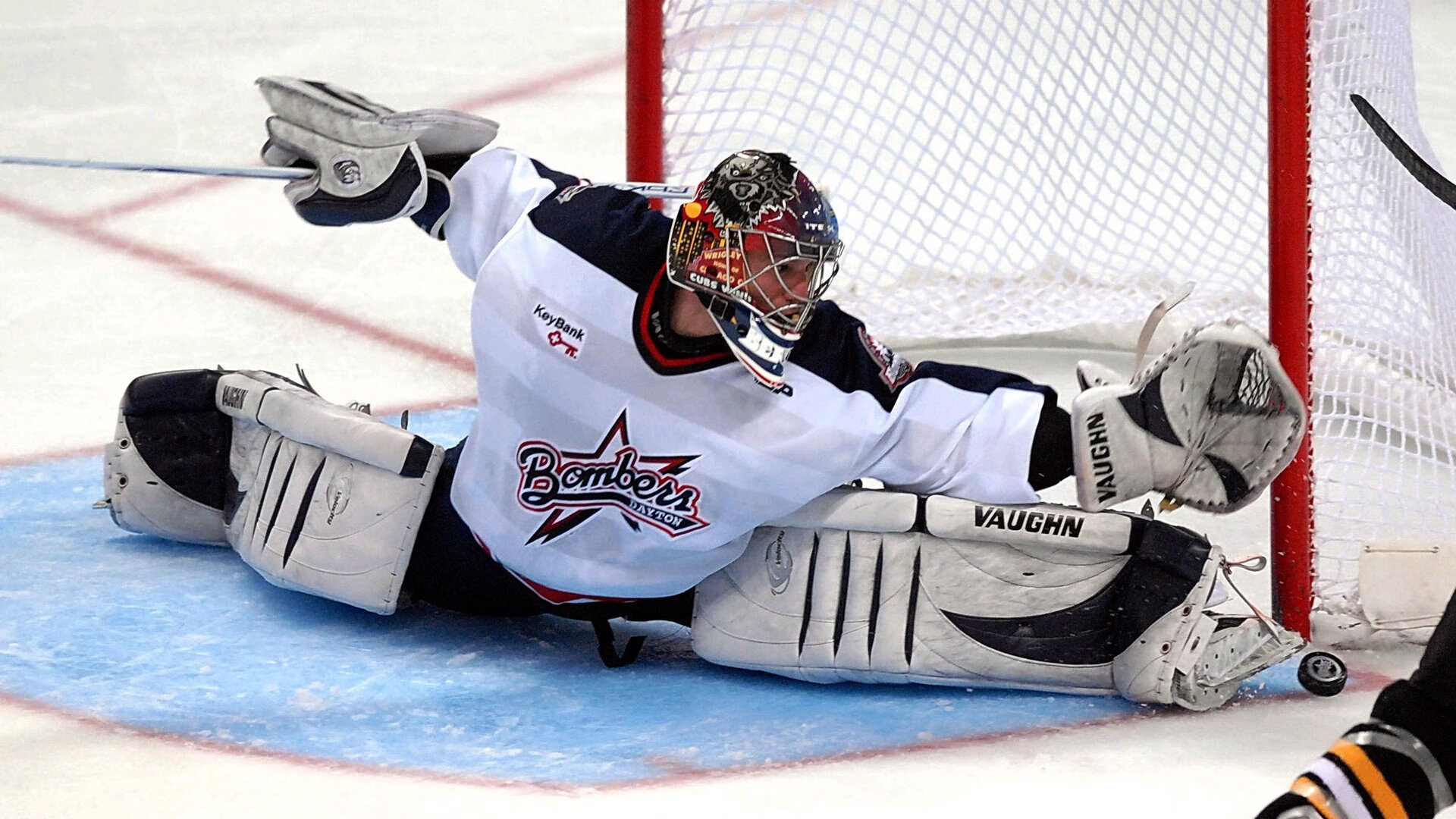 全球体育明星最新动态